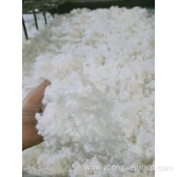 HCS fiber 7d 15d for filling pillow